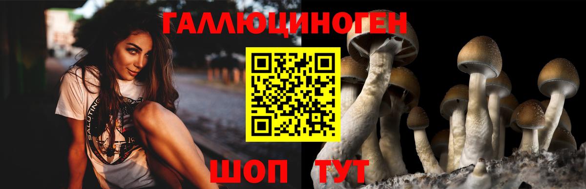 закладка  Псилоцибиновые грибы Psilocybine cubensis  Вход с VPN  Малгобек 